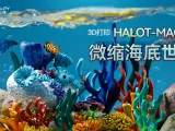 微缩海底世界-0