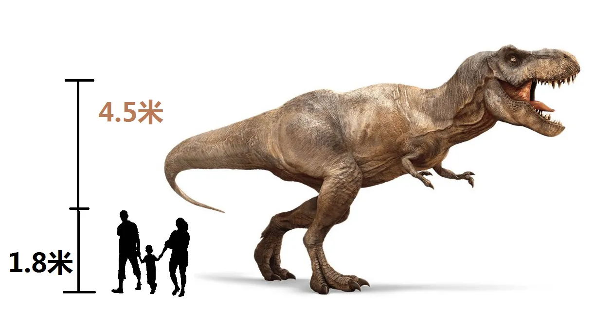 霸王龙即雷克斯暴龙（Tyrannosaurus Rex） | 3D模型下载 | 创想云