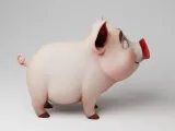 小猪-1