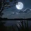 简单的模型交流圈子
