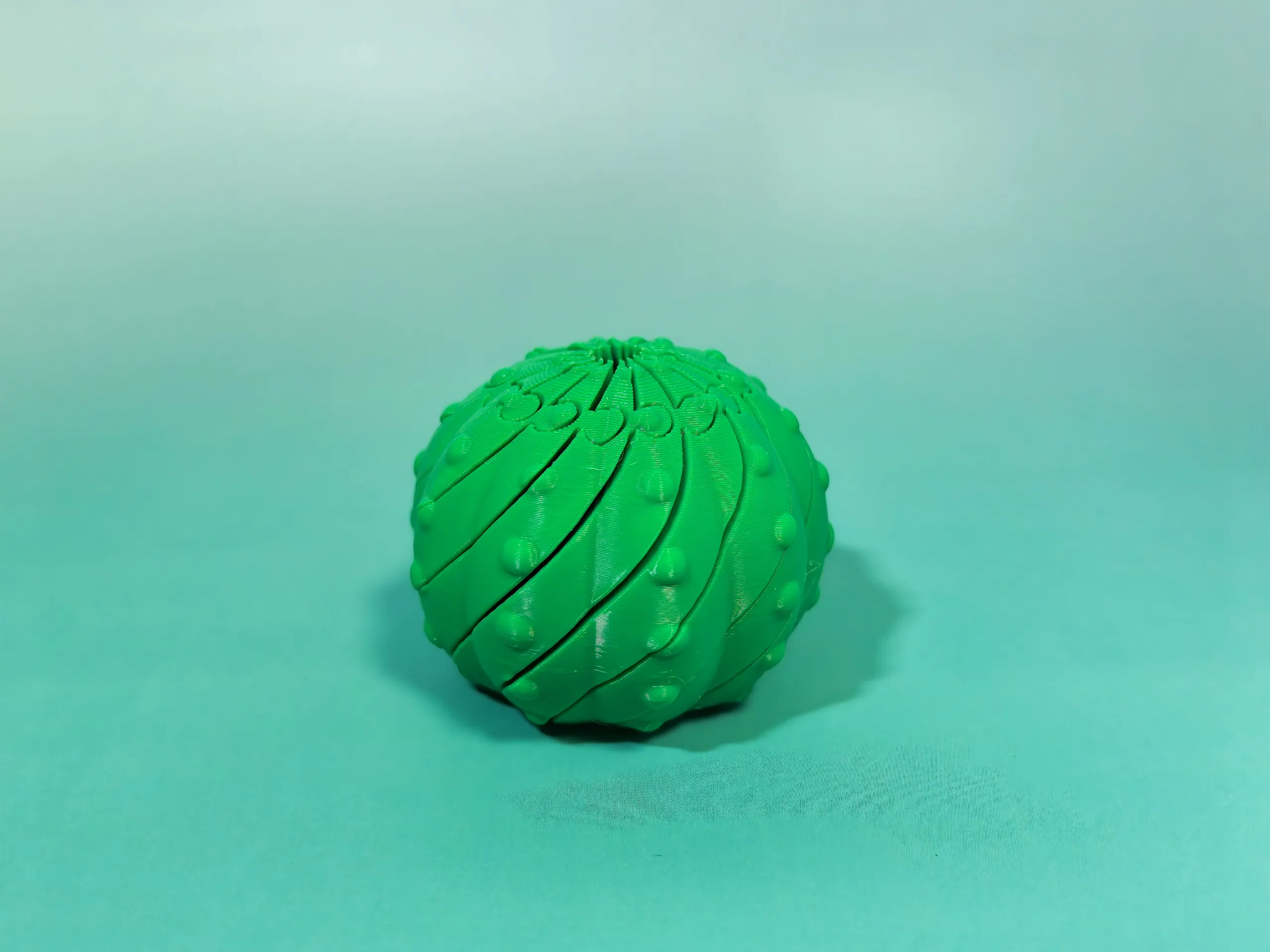 Spinning and decompressing cactus旋转解压仙人球