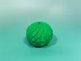Spinning and decompressing cactus旋转解压仙人球-1