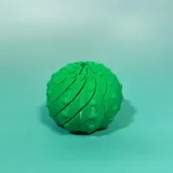 Spinning and decompressing cactus旋转解压仙人球