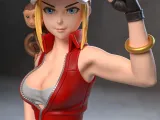 《拳皇》女特瑞(穿衣裸身雙體態)-4