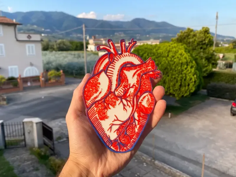 Human Heart (Hueforge)