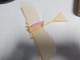 仿生会飞扑翼鸟-0