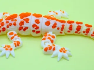 壁虎