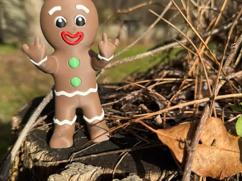 rude gingerbread man