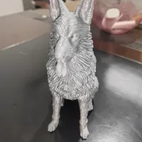德国牧羊犬-2