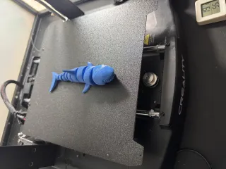 可动鲨鱼