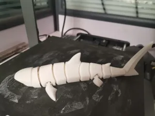 鲨鱼（可活动）
