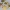 King Endymion Tuxedo Mask Medals Cosplay props