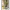 多面体 | 花盆 · 盆栽