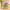 多巴胺花框