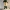 IMFW「废物」|SBTI人格系列3D打印人偶