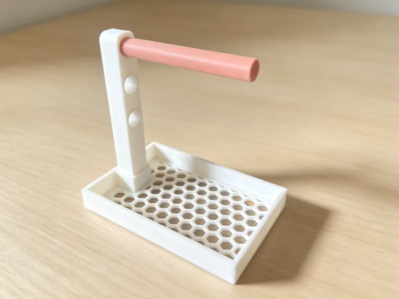 小鸟训练站
