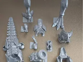 恐龙霸王龙骨架
