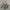 苦无手里剑暗器匕首