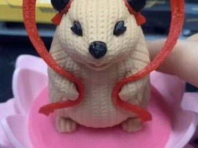 Lotus Boy -- Marmot