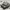 Q版 T-80U MBT 主战坦克（炮塔可动，轮子履带可动）