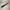 csgo骷髅刀