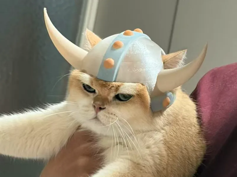 宠物头盔