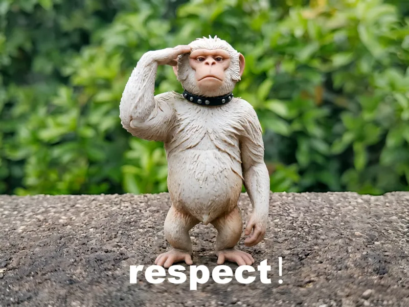 Respect！猴子敬礼