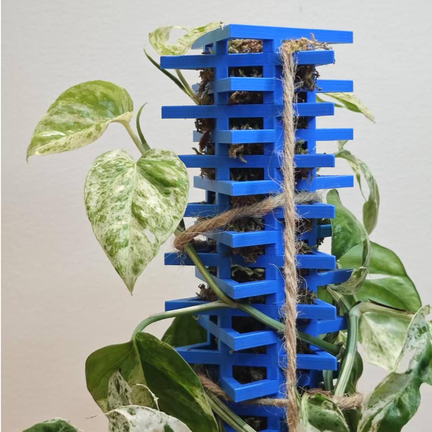 Home print settings: 攀爬植物.3mf
