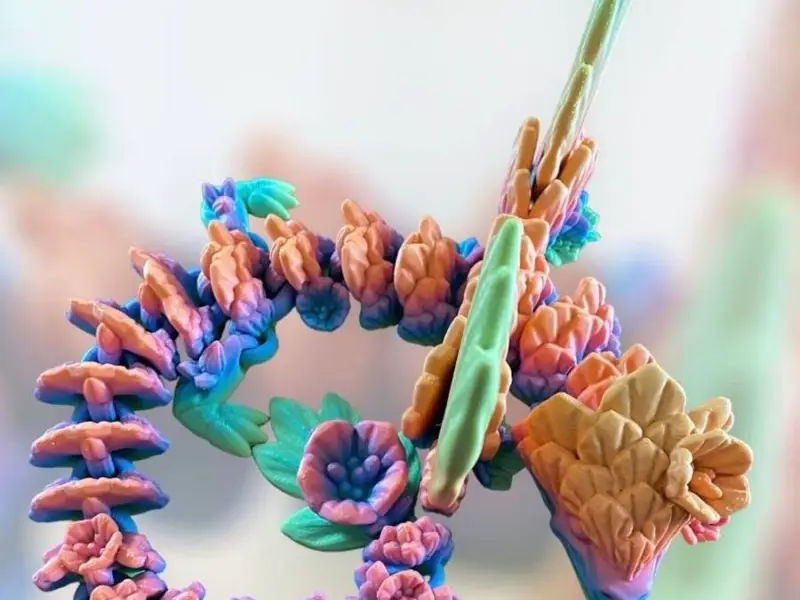 苹果花龙