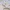 原神枫丹-欧庇克莱歌剧院