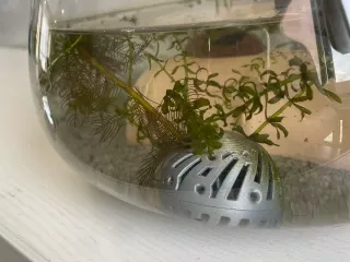 水草岩