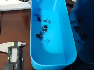收纳盒 接料盒