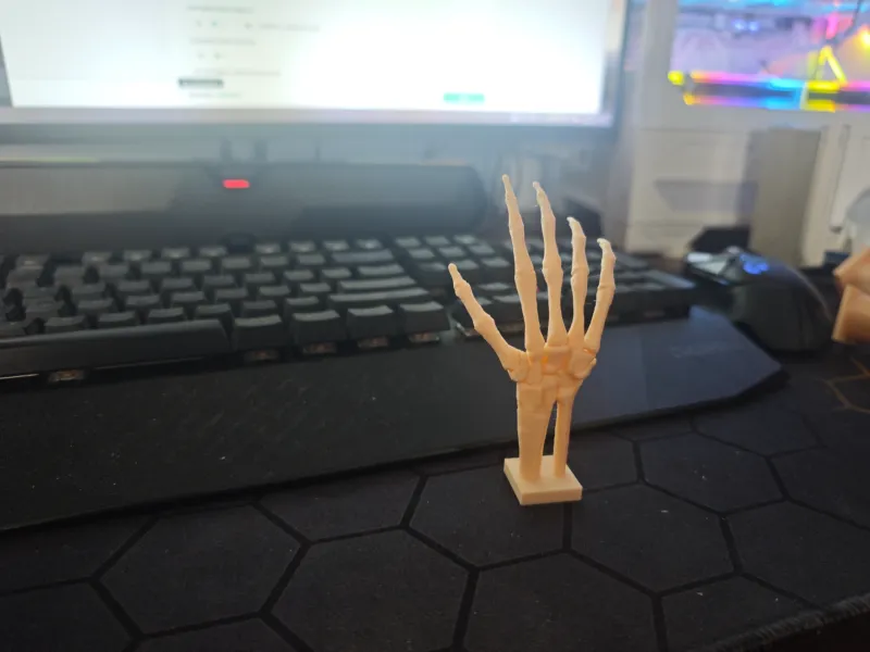 骷髅手把手
