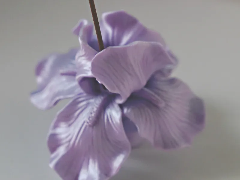 鸢尾香插