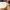 首层测试