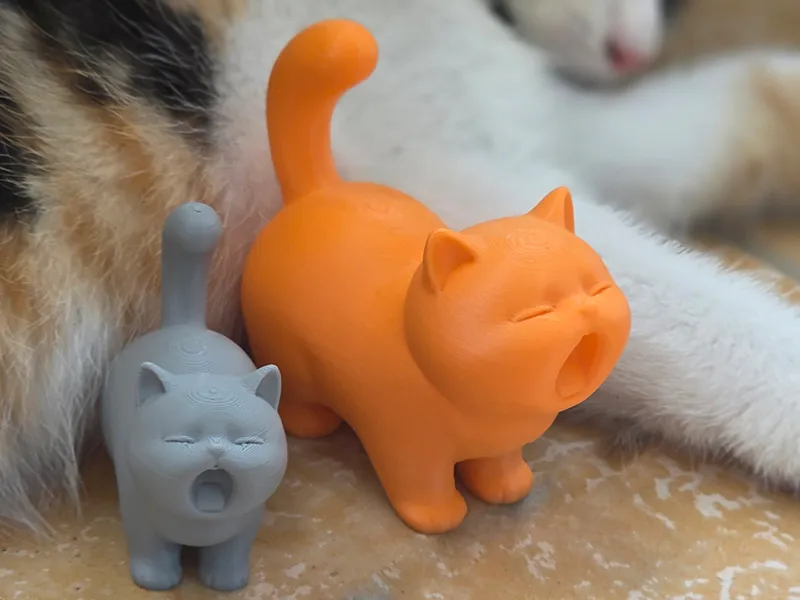 打哈欠的小猫