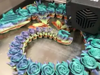 可动的玫瑰龙