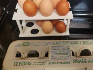 Countertop egg holder