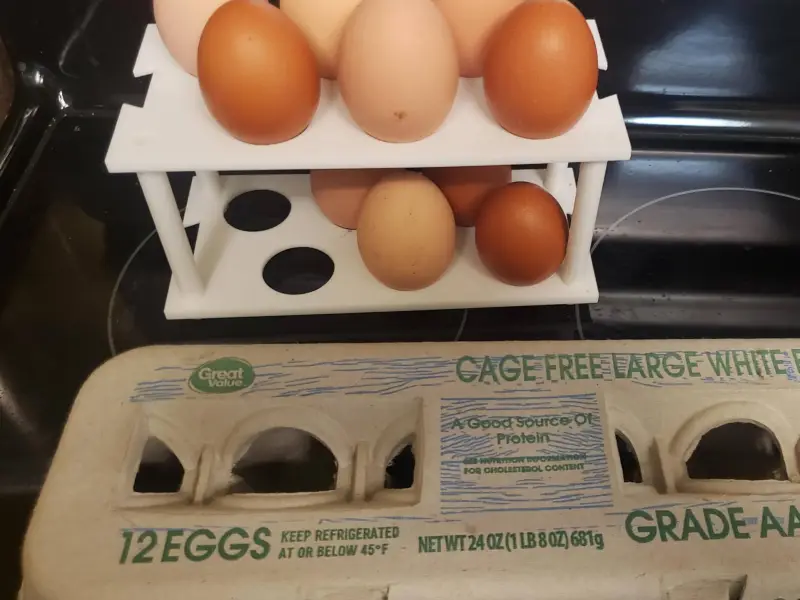 Countertop egg holder