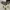 解压玩具：3D打印摇头晃脑彩虹花（可伸缩、旋转、摇摆）
