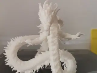 龙