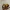 马面金币k2