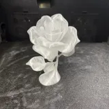 玫瑰