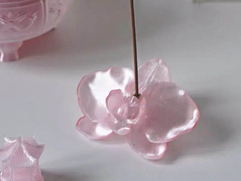 蝴蝶兰香插