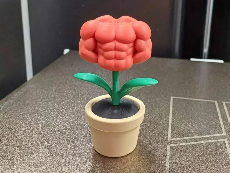 肌肉男花