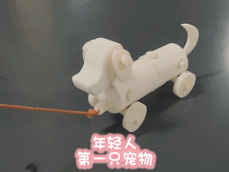 年轻人的第一只狗