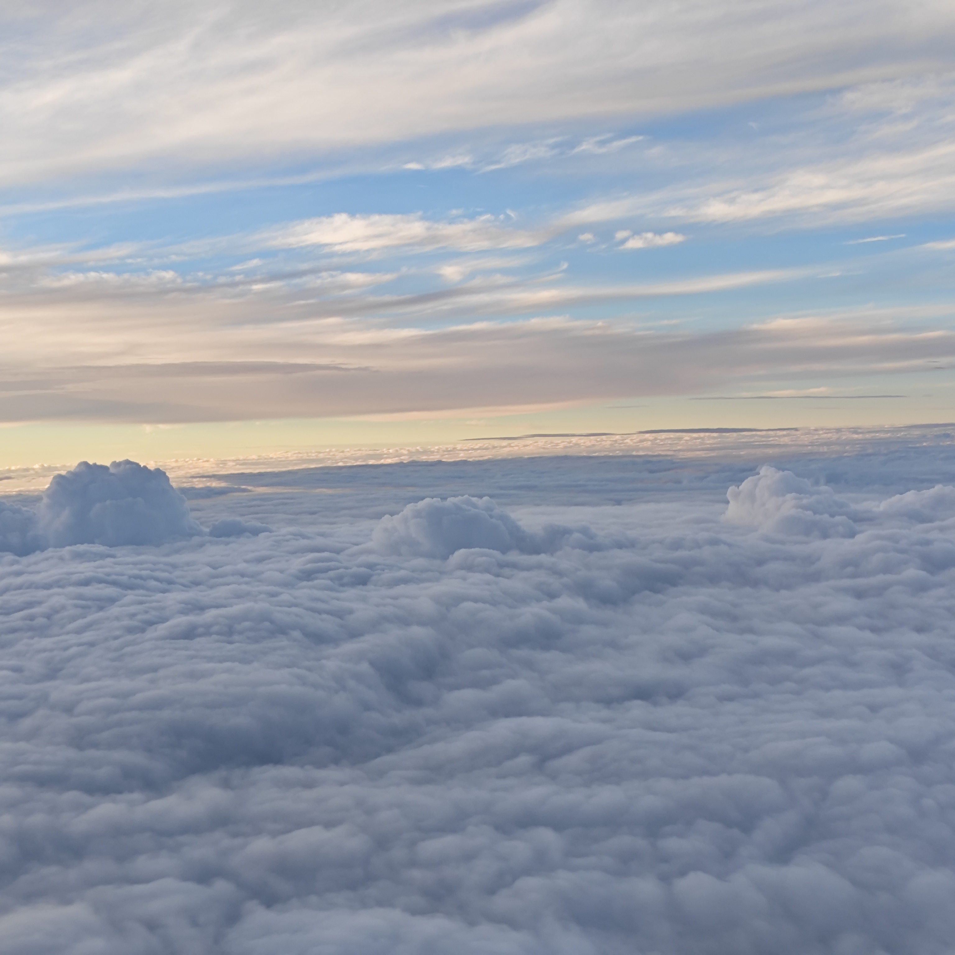 avatar of 蒋蒋蒋蒋蒋蒋