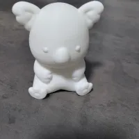 考拉-1