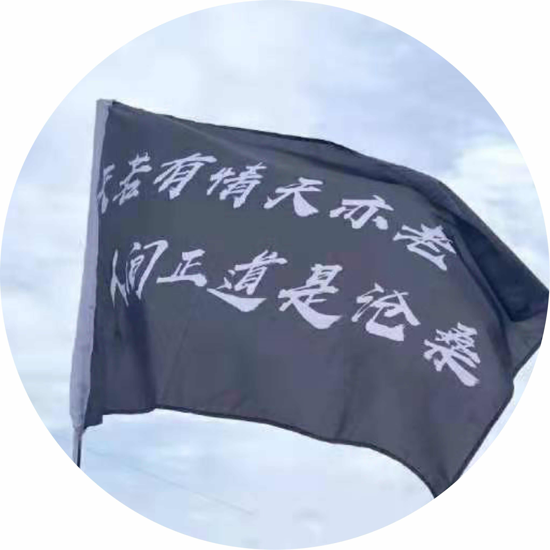 avatar of 摇一摇滚一滚