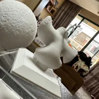 拉伊卜-2